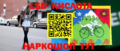 индика Усть-Джегута