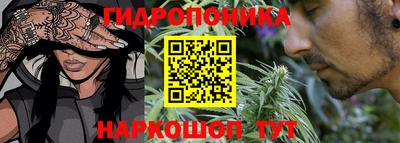 индика Усть-Джегута