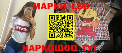 индика Усть-Джегута