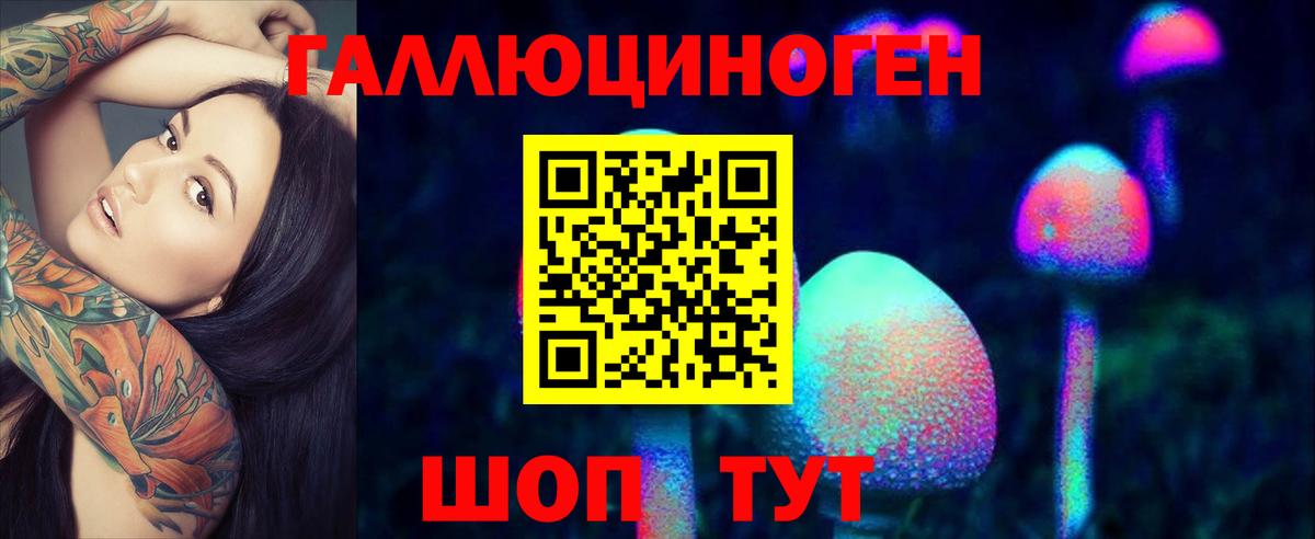 Галлюциногенные грибы Psilocybe Бийск