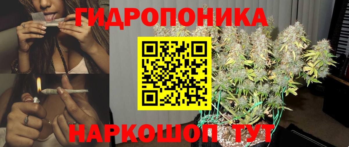 Канабис Amnesia Бийск